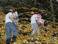 Cascadilla Gorge clean-up