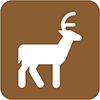 Deer Management Program