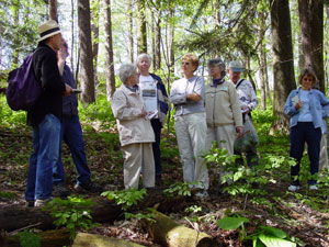 Guided Field Trip to a Cornell Plantations Natural Area